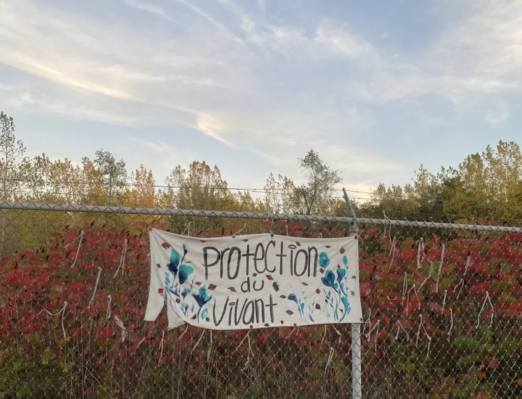 Projet Montréal s’engage à protéger pour toujours la friche, le boisé Steinberg et le boisé Vimont grâce à une fiducie d’utilité sociale Projet Montréal s’engage à protéger pour toujours la friche, le boisé Steinberg et le boisé Vimont grâce à une fiducie d’utilité sociale
