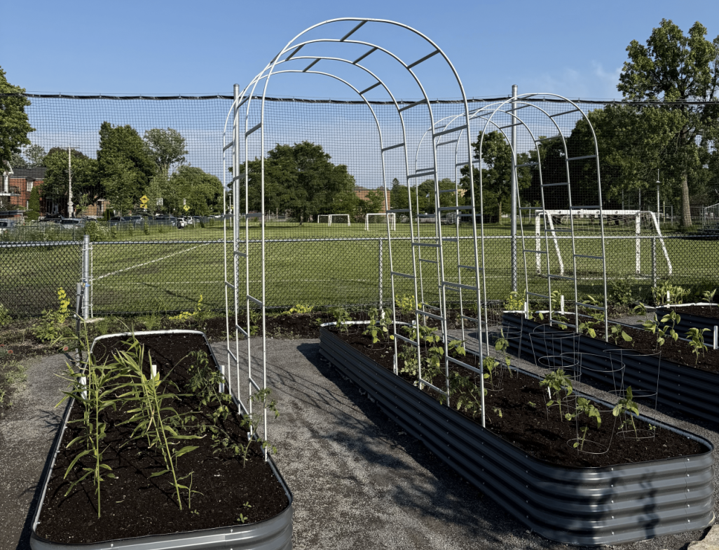Inauguration du jardin Fielding : un premier jardin solidaire vertical à Montréal Inauguration du jardin Fielding : un premier jardin solidaire vertical à Montréal